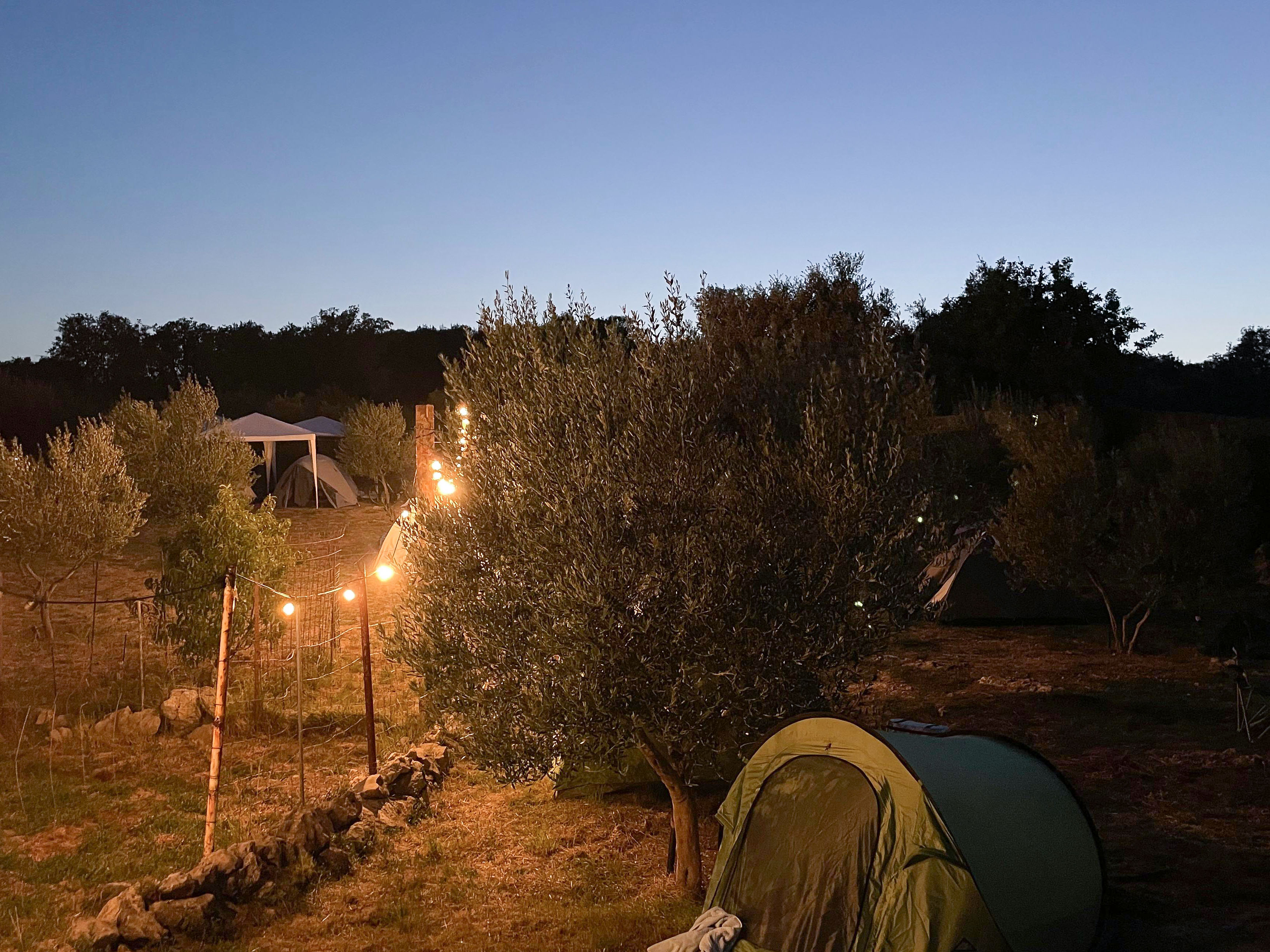 kamp